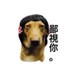 Crazy Cutie Doggy（個別スタンプ：8）