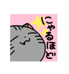 ねこ猫ネコぬこ（個別スタンプ：3）