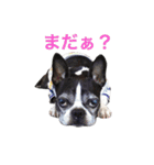 らんち姐さんver2（個別スタンプ：6）