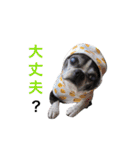 らんち姐さんver2（個別スタンプ：7）
