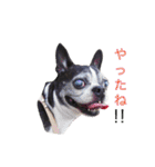 らんち姐さんver2（個別スタンプ：9）