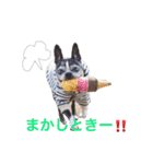 らんち姐さんver2（個別スタンプ：10）