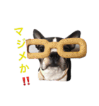 らんち姐さんver2（個別スタンプ：16）