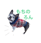 らんち姐さんver2（個別スタンプ：21）