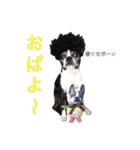 らんち姐さんver2（個別スタンプ：23）