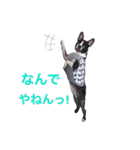 らんち姐さんver2（個別スタンプ：28）