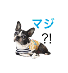 らんち姐さんver2（個別スタンプ：30）