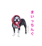 らんち姐さんver2（個別スタンプ：32）