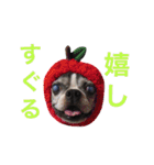 らんち姐さんver2（個別スタンプ：33）