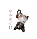 らんち姐さんver2（個別スタンプ：36）