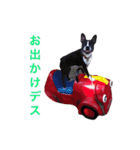 らんち姐さんver2（個別スタンプ：40）