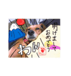 チョコちゃんの日常 2（個別スタンプ：15）