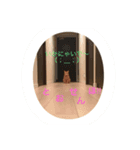 茶トラむっくんの日常すたんぷ！（個別スタンプ：1）