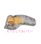 ひなひなぶー（個別スタンプ：16）