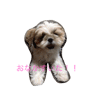 ひなひなぶー（個別スタンプ：23）