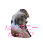 ひなひなぶー（個別スタンプ：28）