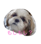ひなひなぶー（個別スタンプ：32）