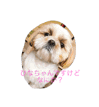 ひなひなぶー（個別スタンプ：35）