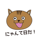 漁港猫（個別スタンプ：3）