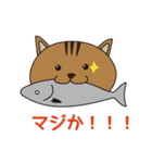 漁港猫（個別スタンプ：5）