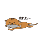 漁港猫（個別スタンプ：6）