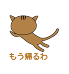 漁港猫（個別スタンプ：8）