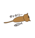 漁港猫（個別スタンプ：11）