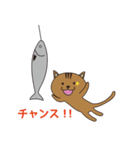 漁港猫（個別スタンプ：12）