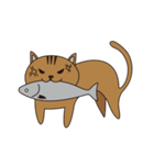 漁港猫（個別スタンプ：13）