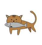 漁港猫（個別スタンプ：14）