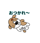 ゆきちゃんのジャックラッセルスタンプ（個別スタンプ：7）