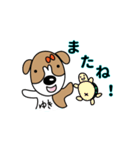ゆきちゃんのジャックラッセルスタンプ（個別スタンプ：39）