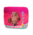 mocachan（個別スタンプ：1）
