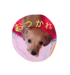 mocachan（個別スタンプ：7）