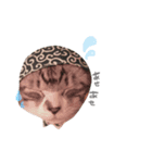 まんまるねこのきらちゃん（個別スタンプ：4）