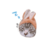 まんまるねこのきらちゃん（個別スタンプ：6）