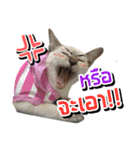 Soda＆Sprite（個別スタンプ：17）