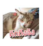 Soda＆Sprite（個別スタンプ：35）