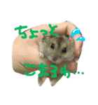 ぽんたさんのスタンプですよ（個別スタンプ：3）