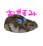 ぽんたさんのスタンプですよ（個別スタンプ：7）