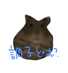 ぽんたさんのスタンプですよ（個別スタンプ：23）