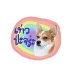 Corgi Pink Pink（個別スタンプ：13）