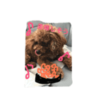 ぶさカワ犬 ピノ（個別スタンプ：7）