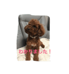 ぶさカワ犬 ピノ（個別スタンプ：14）