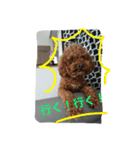 ぶさカワ犬 ピノ（個別スタンプ：16）
