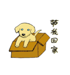 プーロの日常の2-中にかわいい犬があります（個別スタンプ：1）