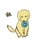 プーロの日常の2-中にかわいい犬があります（個別スタンプ：13）