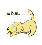 プーロの日常の2-中にかわいい犬があります（個別スタンプ：21）