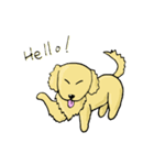プーロの日常の2-中にかわいい犬があります（個別スタンプ：25）