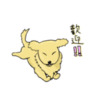 プーロの日常の2-中にかわいい犬があります（個別スタンプ：26）